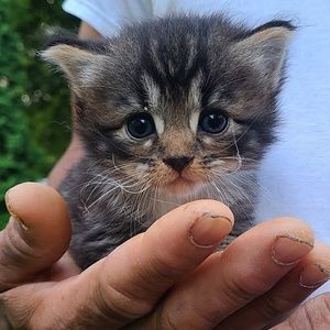 Meet your Posher, Marta